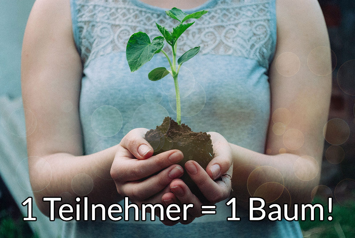 baum-pflanzen